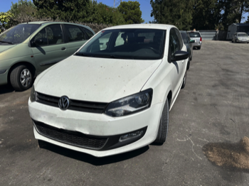 Polo 2010